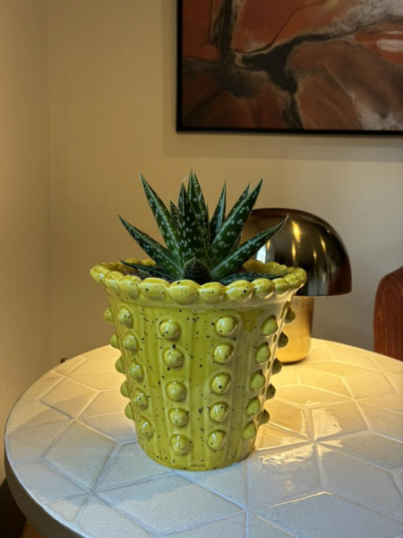 Handmade Yellow Pot Image