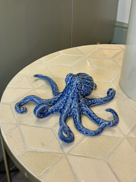 Octopus Image