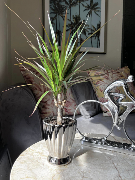 Silver Fluted Pot Image